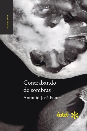 Cover image for Contrabando de sombras