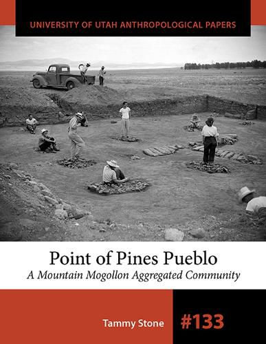 Cover image for Point of Pines Pueblo: A Mountain Mogollon Aggregated Community