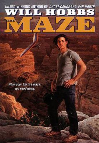 Cover image for Maze