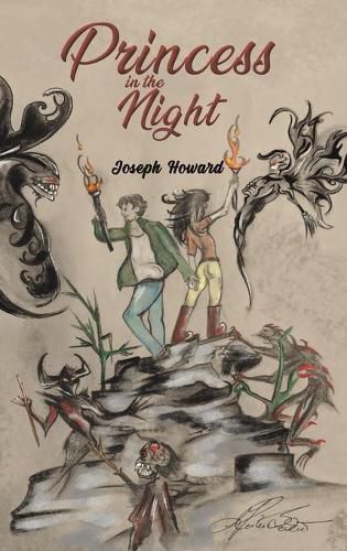 Cover image for Princess in the Night