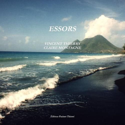 Cover image for Essors