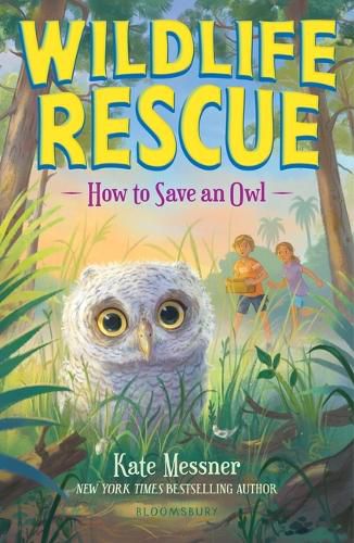 Cover image for How to Save an Owl