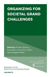 Cover image for Organizing for Societal Grand Challenges