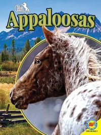 Cover image for Appaloosas