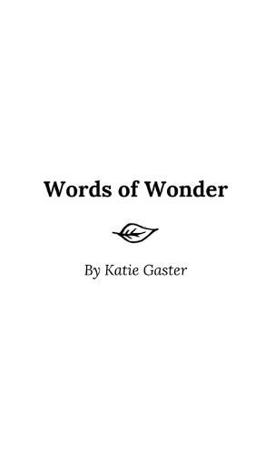 Cover image for Words of Wonder