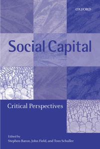 Cover image for Social Capital: Critical Perspectives