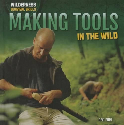 Cover image for Making Tools in the Wild