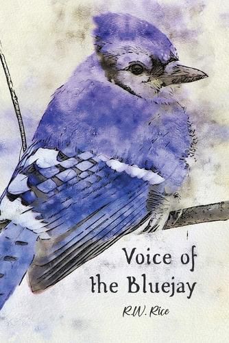 Cover image for Voice of the Bluejay