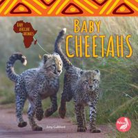 Cover image for Baby Cheetahs