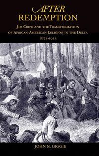 Cover image for After Redemption: Jim Crow and the Transformation of African American Religion in the Delta, 1875-1915