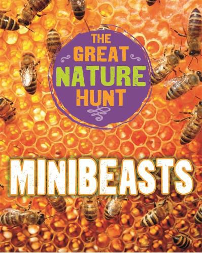 Cover image for The Great Nature Hunt: Minibeasts