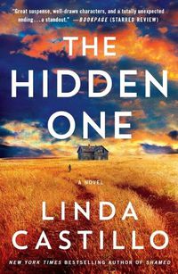 Cover image for The Hidden One: A Novel of Suspense