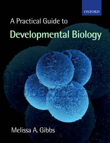 Cover image for A Practical Guide to Developmental Biology