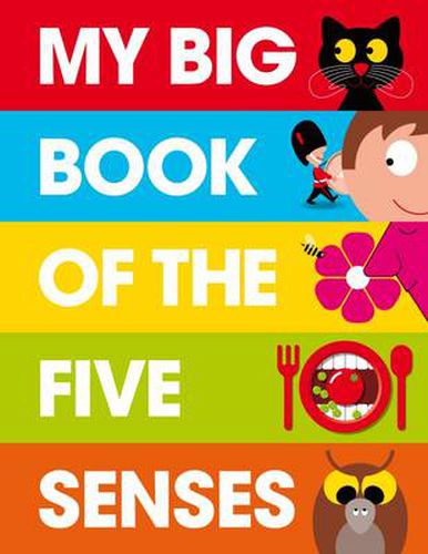 Cover image for My Big Book of the Five Senses