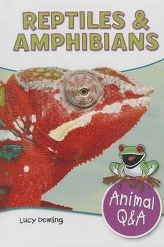 Cover image for Reptiles & Amphibians