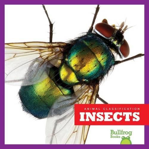 Cover image for Insects