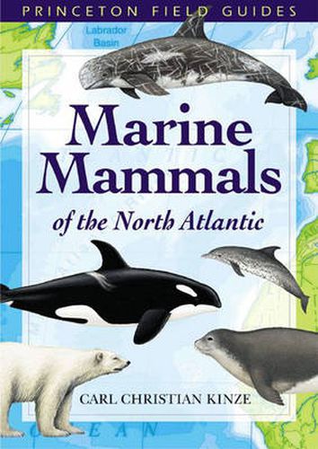 Cover image for Marine Mammals of the North Atlantic