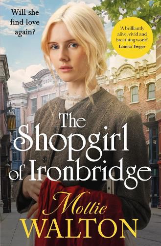 Cover image for The Shopgirl of Ironbridge