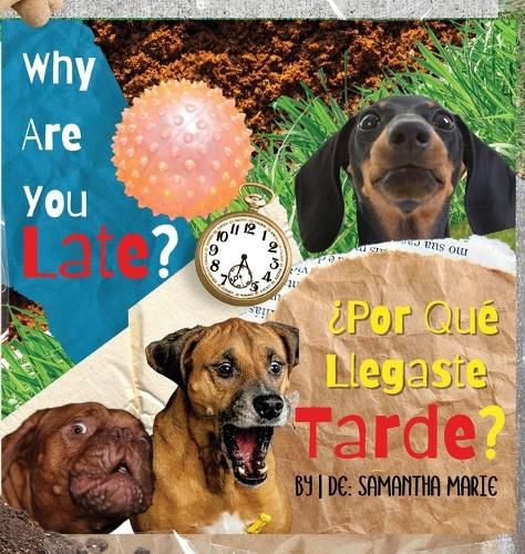 Cover image for Why Are You Late?