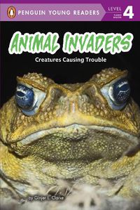 Cover image for Animal Invaders