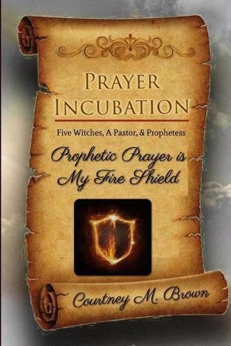 Cover image for Prayer Incubation