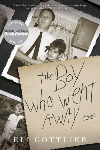 Cover image for The Boy Who Went Away