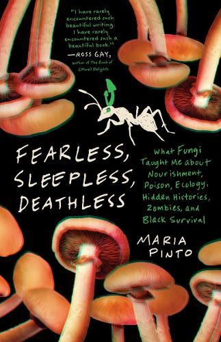 Cover image for Fearless, Sleepless, Deathless
