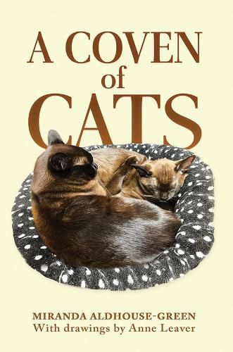 Cover image for A Coven of Cats