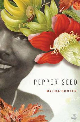 Cover image for Pepper Seed