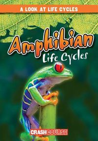 Cover image for Amphibian Life Cycles