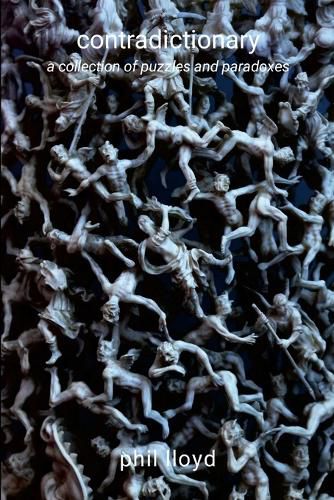 Cover image for contradictionary