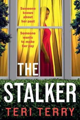 Cover image for The Stalker