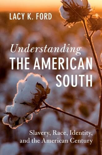 Cover image for Understanding the American South