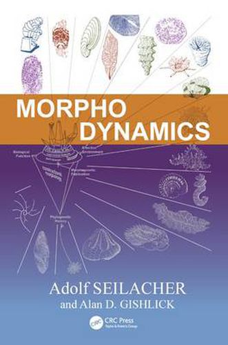 Cover image for Morphodynamics