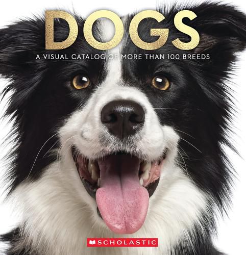 Cover image for Dogs: A Visual Catalog Of More Than 100 Breeds