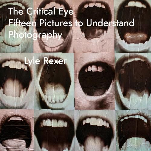 Cover image for The Critical Eye: Fifteen Pictures to Understand Photography