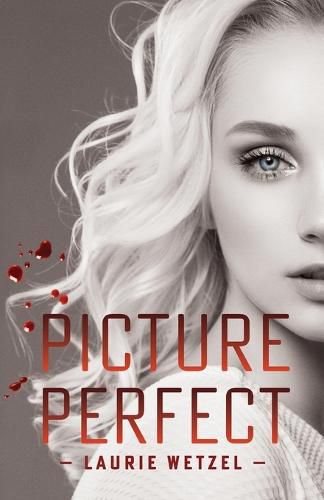 Cover image for Picture Perfect