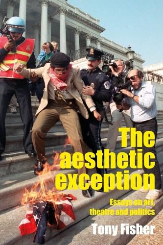 Cover image for The Aesthetic Exception