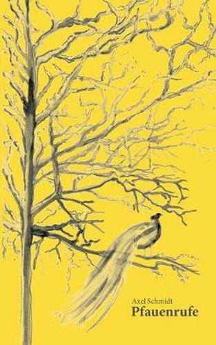 Cover image for Pfauenrufe
