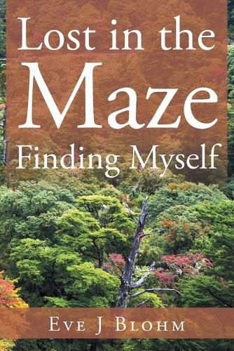 Cover image for Lost in the Maze Finding Myself