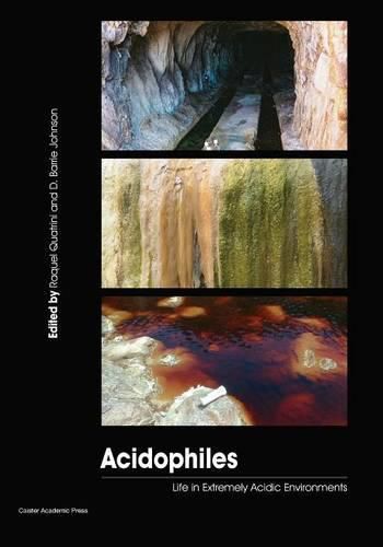 Cover image for Acidophiles: Life in Extremely Acidic Environments