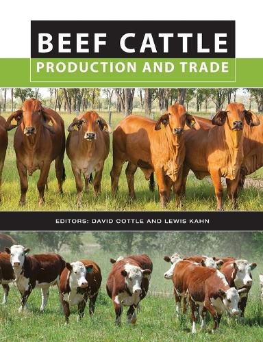 Cover image for Beef Cattle Production and Trade