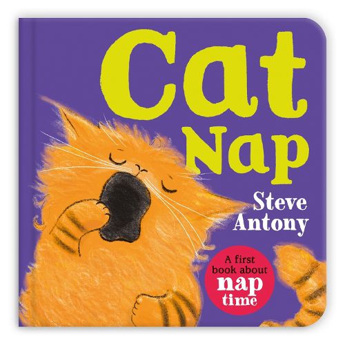 Cover image for Cat Nap