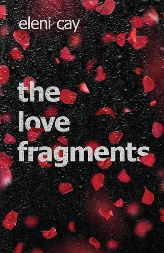 Cover image for The Love Fragments