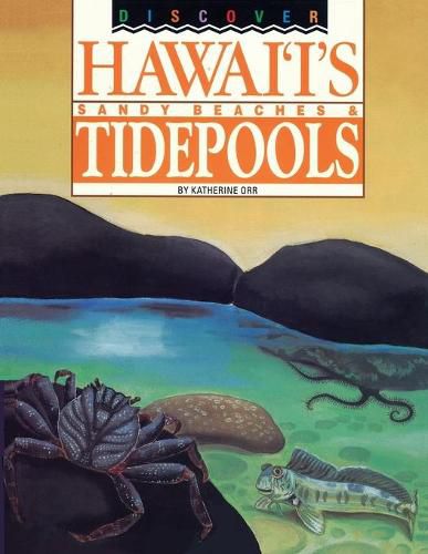 Cover image for Discover Hawaii's Sandy Beaches and Tidepools