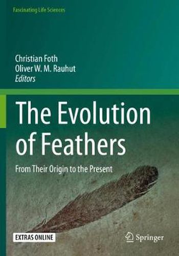 Cover image for The Evolution of Feathers: From Their Origin to the Present