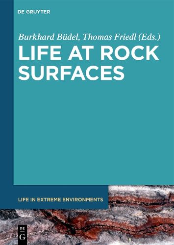 Cover image for Life at Rock Surfaces: Challenged by Extreme Light, Temperature and Hydration Fluctuations