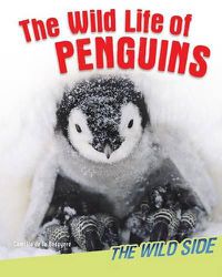Cover image for The Wild Life of Penguins
