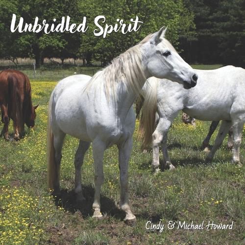 Unbridled Spirit