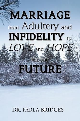 Cover image for Marriage from Adultery and Infidelity to Love and Hope for the Future